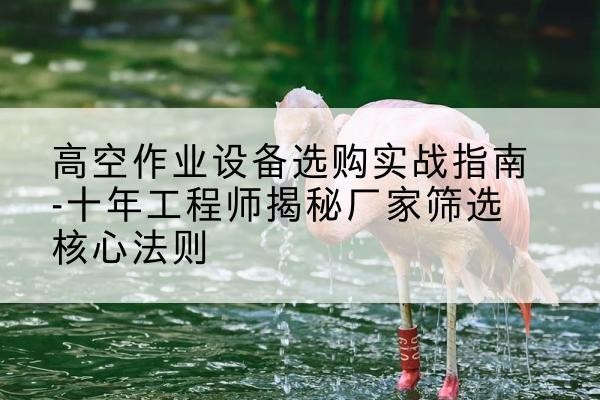 广南剪叉式升降机厂家-高空作业设备选购实战指南-十年工程师揭秘厂家筛选核心法则