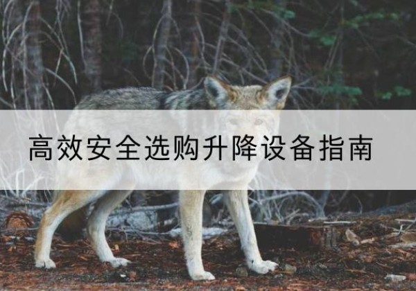 广南升降货梯厂家推荐-*安全选购升降设备指南