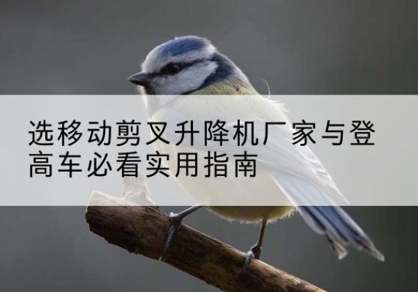 广南电动升降机厂家-选移动剪叉升降机厂家与登高车必看实用指南