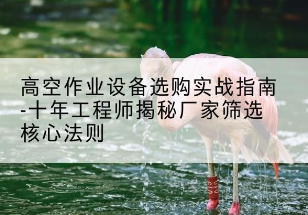 广南剪叉式升降机厂家-高空作业设备选购实战指南-十年工程师揭秘厂家筛选核心法则
